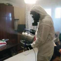 Дезинфекция от клопов в Опочке