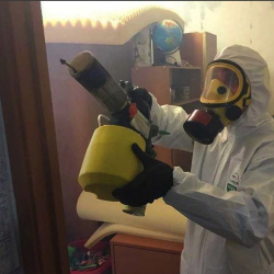 Уничтожение клопов в квартире. Опочка